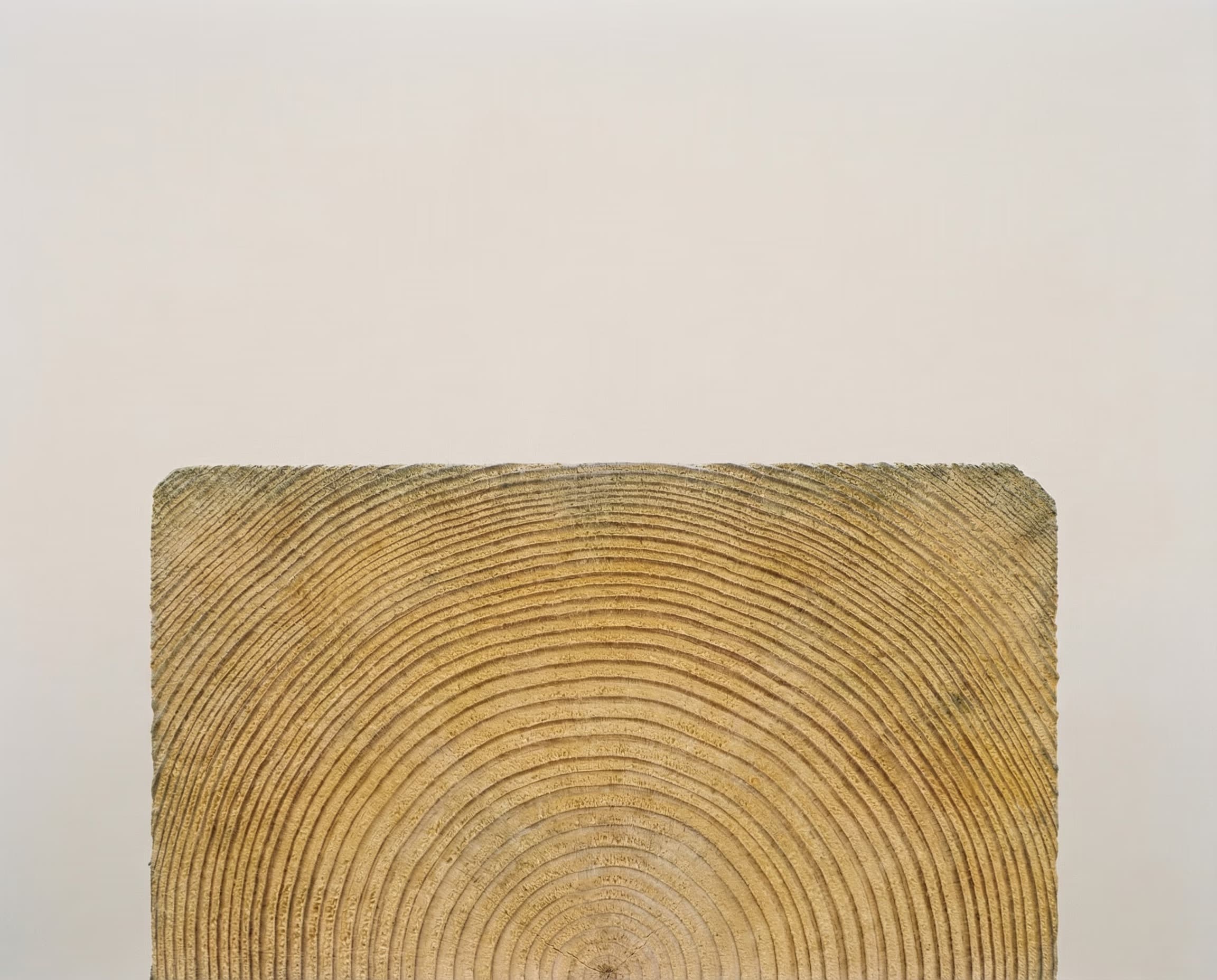 End grain of a timber beam
